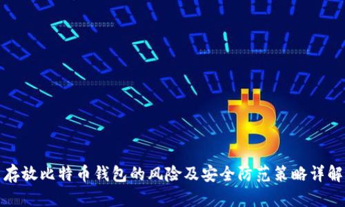 存放比特币钱包的风险及安全防范策略详解