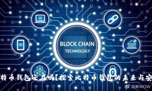 好比特币钱包还在吗？探索比特币钱包的未来与安全性