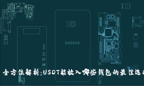 : 全方位解析：USDT能放入哪些钱包的最佳选择