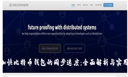 如何加快比特币钱包的同步速度：全面解析与实用方案