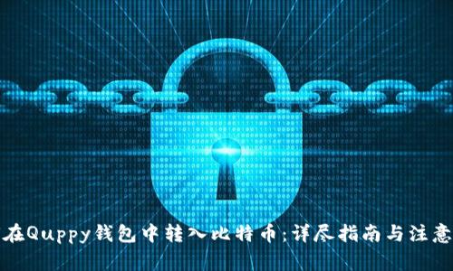 如何在Quppy钱包中转入比特币：详尽指南与注意事项