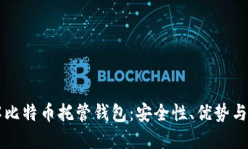 深入了解比特币托管钱包：安全性、优势与选择指南