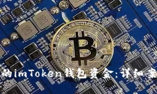 如何有效追回被盗的imToken钱包资金：详细案例分析与实用建议