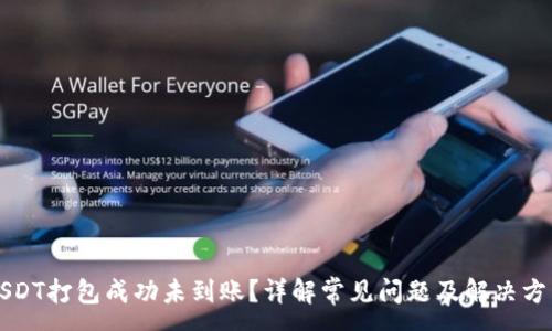 :
USDT打包成功未到账？详解常见问题及解决方法
