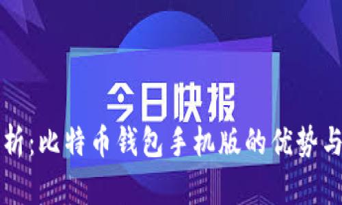 全方位解析：比特币钱包手机版的优势与选择指南