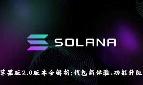 : imToken苹果版2.0版本全解析：钱包新体验、功能升级与使用技巧