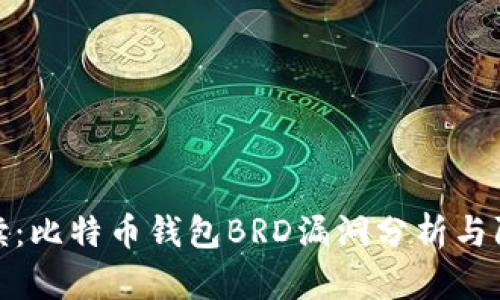 深入解读：比特币钱包BRD漏洞分析与防范措施