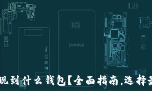   
USDT提现到什么钱包？全面指南，选择最佳选择