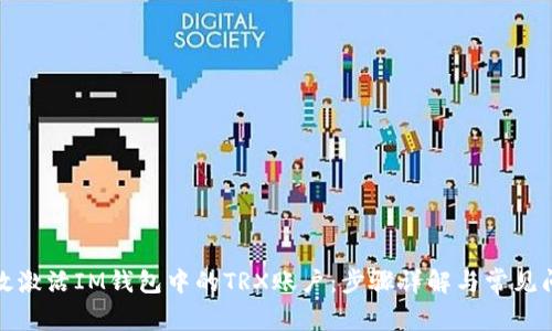 如何高效激活IM钱包中的TRX账户：步骤详解与常见问题解答