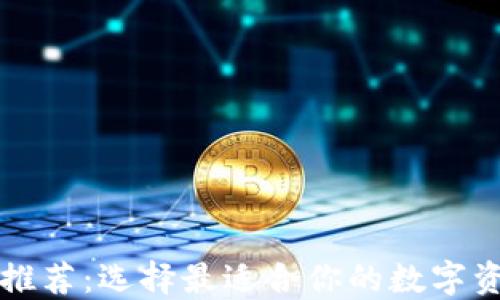 
区块链钱包推荐：选择最适合你的数字资产管理工具