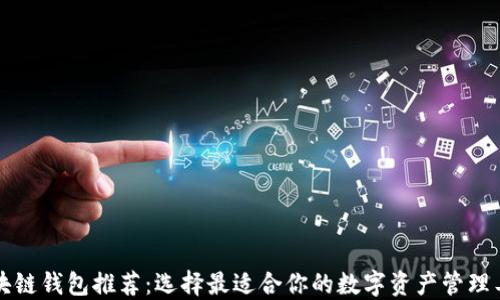 
区块链钱包推荐：选择最适合你的数字资产管理工具