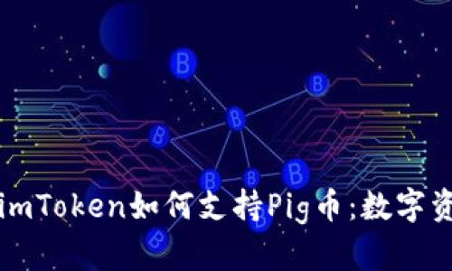 深入探索imToken如何支持Pig币：数字资产的未来