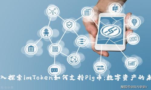 深入探索imToken如何支持Pig币：数字资产的未来