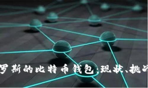 深入了解俄罗斯的比特币钱包：现状、挑战与未来展望