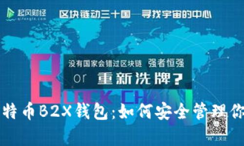 全面解析比特币B2X钱包：如何安全管理你的数字资产