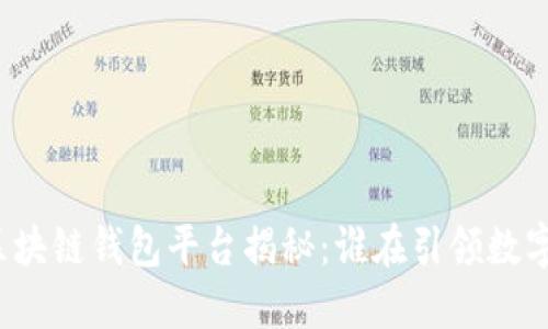全球最大的区块链钱包平台揭秘：谁在引领数字资产的未来？