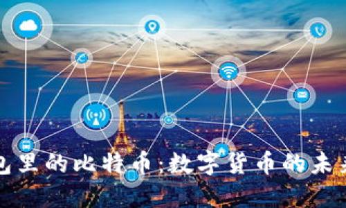 美国钱包里的比特币：数字货币的未来与机遇