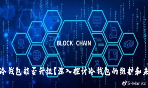 比特币冷钱包能否升级？深入探讨冷钱包的维护和未来发展