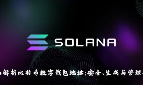全面解析比特币数字钱包地址：安全、生成与管理指南