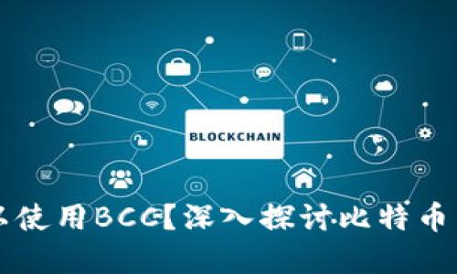 比特币钱包是否可以使用BCC？深入探讨比特币与比特币现金的关系