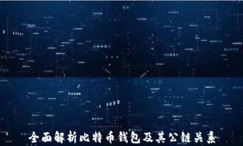 
全面解析比特币钱包及其公链关系