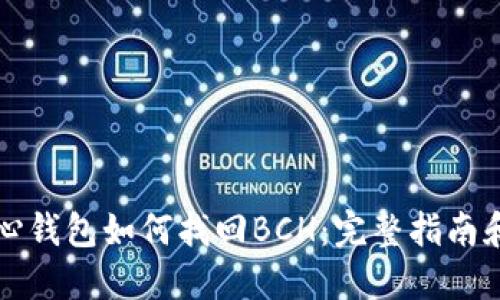 比特币核心钱包如何找回BCH：完整指南和专业技巧