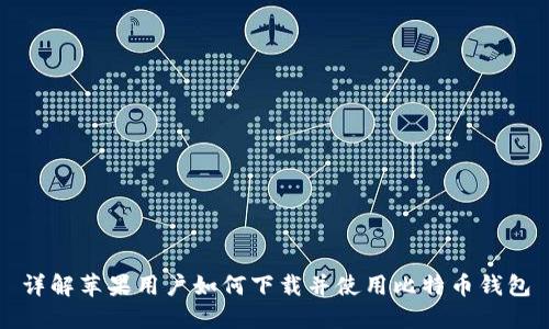 详解苹果用户如何下载并使用比特币钱包