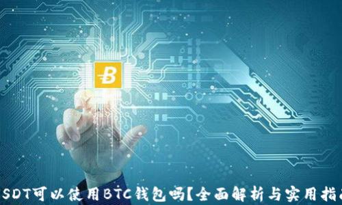 
USDT可以使用BTC钱包吗？全面解析与实用指南