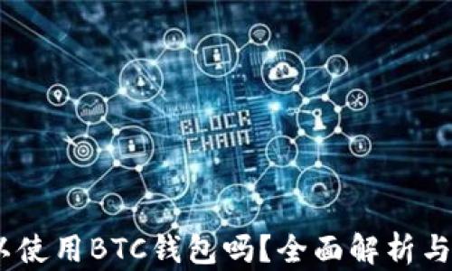 
USDT可以使用BTC钱包吗？全面解析与实用指南
