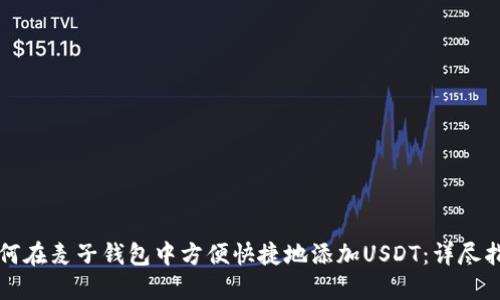 如何在麦子钱包中方便快捷地添加USDT：详尽指南