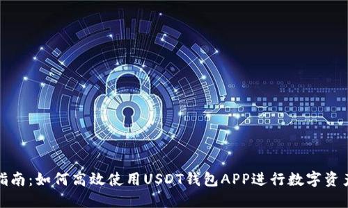 全面指南：如何高效使用USDT钱包APP进行数字资产管理