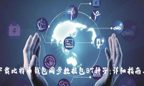 如何高效下载比特币钱包同步数据包BT种子：详细指南与实用技巧