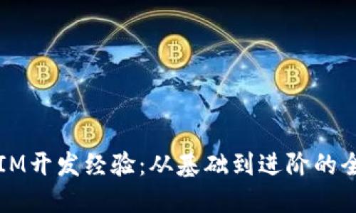 深入探讨IM开发经验：从基础到进阶的全方位指南