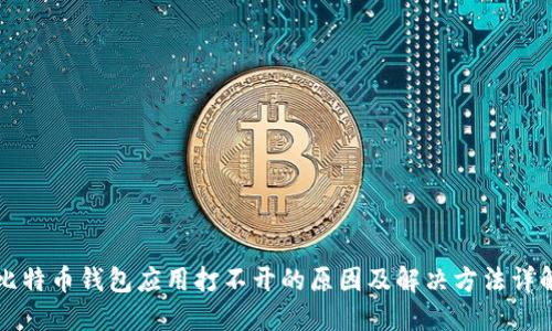 比特币钱包应用打不开的原因及解决方法详解