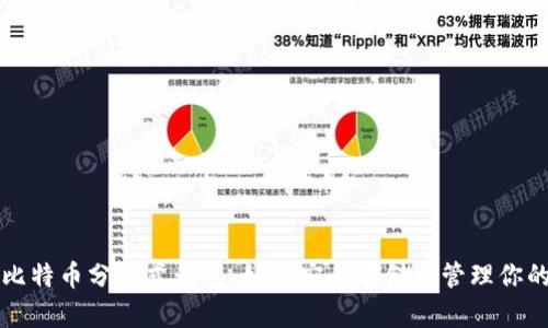 全面解析比特币分布式钱包：如何安全存储与管理你的数字资产