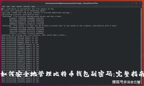 如何安全地管理比特币钱包副密码：完整指南