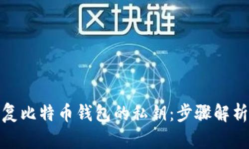 如何成功恢复比特币钱包的私钥：步骤解析与实用建议