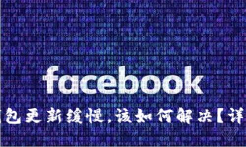 如果比特币钱包更新缓慢，该如何解决？详细攻略与技巧