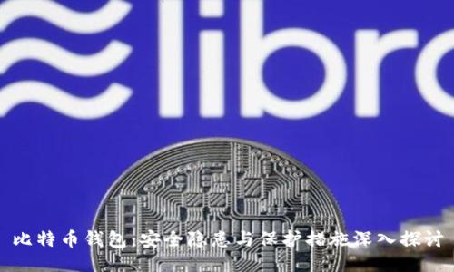 比特币钱包：安全隐患与保护措施深入探讨