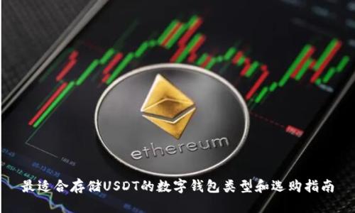 最适合存储USDT的数字钱包类型和选购指南