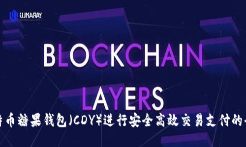 使用比特币糖果钱包（CDY）进行安全高效交易支付的全面指南