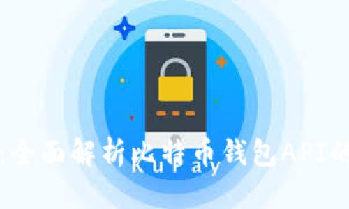 掌握比特币：全面解析比特币钱包API的使用与实现