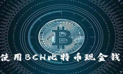 如何选择和使用BCH比特币现金钱包：全面指南