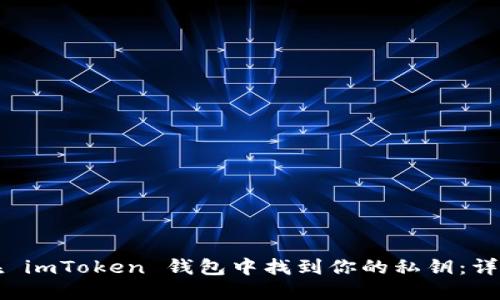 如何在 imToken 钱包中找到你的私钥：详细指南