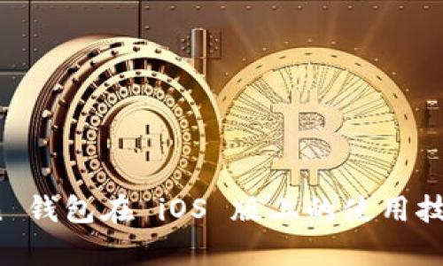 全面解析：imToken 钱包在 iOS 版上的使用技巧与功能深度剖析