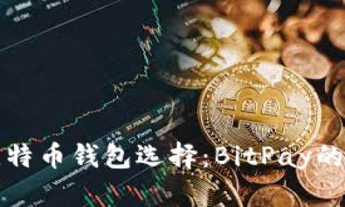 深入分析比特币钱包选择：BitPay的功能与优势