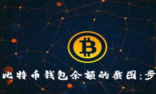 如何轻松截取比特币钱包余额的截图：步骤与技巧详解