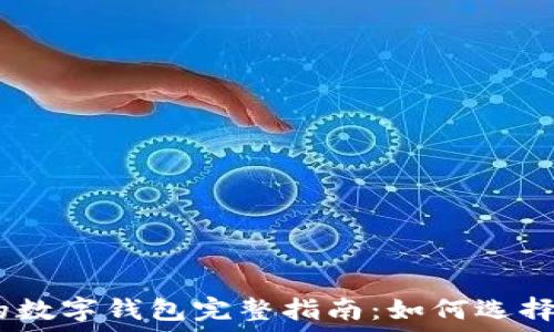   
支持 USDT 的数字钱包完整指南：如何选择适合你的钱包