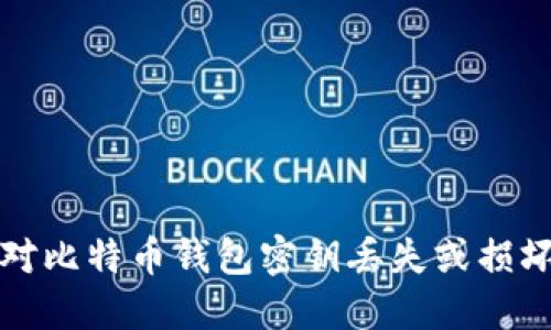 如何应对比特币钱包密钥丢失或损坏的挑战