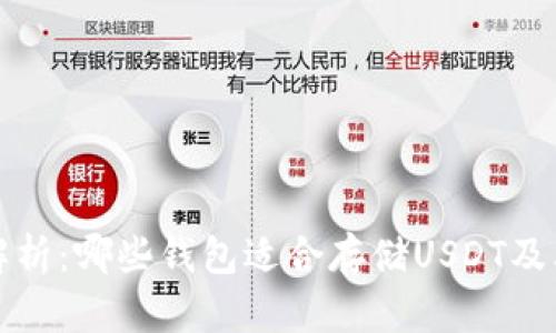 全面解析：哪些钱包适合存储USDT及其特点